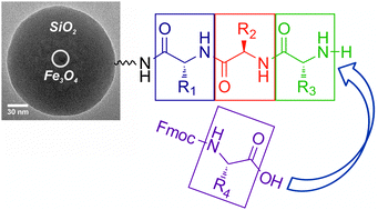 Graphical abstract: Superparamagnetic core–shell nanoparticles as solid supports for peptide synthesis