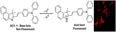 Graphical abstract: Novel far-visible and near-infrared pH probes based on styrylcyanine for imaging intracellular pH in live cells