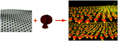 Graphical abstract: Hanging Pt hollow nanocrystal assemblies on graphene resulting in an enhanced electrocatalyst