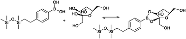 Graphical abstract: Sugar complexation to silicone boronic acids