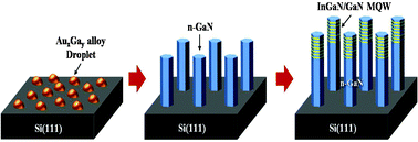 Graphical abstract: Growth characteristics of uniaxial InGaN/GaN MQW/n-GaN nanowires on Si(111) using MOCVD