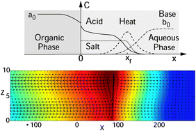 Graphical abstract: A + B → C reaction fronts in Hele-Shaw cells under modulated gravitational acceleration