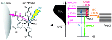 Graphical abstract: Ultrafast fluorescence studies of dye sensitized solar cells