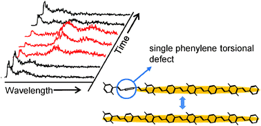 Graphical abstract: Spectral multitude and spectral dynamics reflect changing conjugation length in single molecules of oligophenylenevinylenes