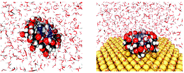 Graphical abstract: Why is the association of supramolecular assemblies different under homogeneous and heterogeneous conditions?