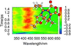 Graphical abstract: Photochemical dynamics of E-iPr-furylfulgide