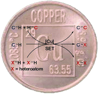 Recent advances in copper-catalyzed dehydrogenative functionalization ...