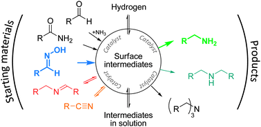 Graphical abstract: Controlling selectivity in the reaction network of aldoxime hydrogenation to primary amines