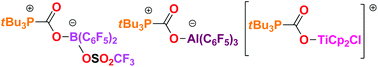 Graphical abstract: Exchange chemistry of tBu3P(CO2)B(C6F5)2Cl