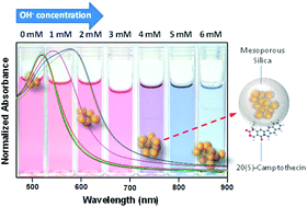 Graphical abstract: Multifunctional hybrid materials for combined photo and chemotherapy of cancer