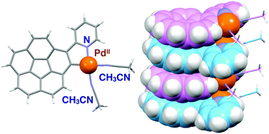 Graphical abstract: A cyclopalladated complex of corannulene with a pyridine pendant and its columnar self-assembly