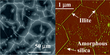 Graphical abstract: Supercritical CO2–brine induced dissolution, swelling, and secondary mineral formation on phlogopite surfaces at 75–95 °C and 75 atm