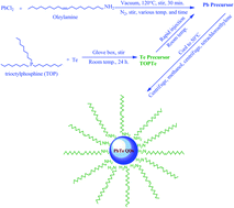 Graphical abstract: Size controlled synthesis of monodisperse PbTe quantum dots: using oleylamine as the capping ligand