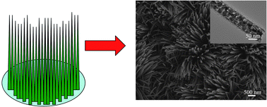 Graphical abstract: Co3O4–C core–shell nanowire array as an advanced anode material for lithium ion batteries