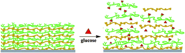 Graphical abstract: Construction of glycoprotein multilayers using the layer-by-layer assembly technique