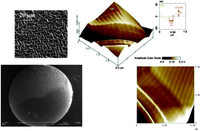 Graphical abstract: Hierarchical wrinkling on elastomeric Janus spheres