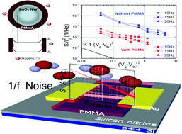 Graphical abstract: Reduced charge fluctuations in individual SnO2 nanowires by suppressed surface reactions