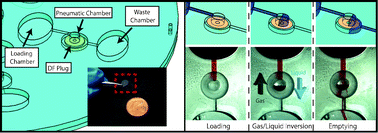 Graphical abstract: Centrifugo-pneumatic valving utilizing dissolvable films