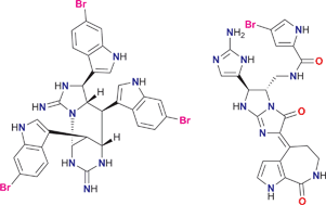 Graphical abstract: The chemistry and biology of organic guanidine derivatives