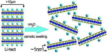 Graphical abstract: How to maximize the aspect ratio of clay nanoplatelets