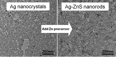 Size- and shape-dependent growth of fluorescent ZnS nanorods and ...