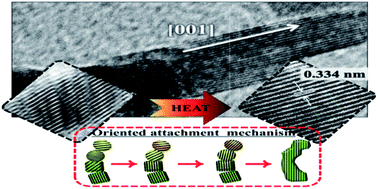 Graphical abstract: A simple self-assembly route to single crystalline SnO2 nanorod growth by oriented attachment for dye sensitized solar cells