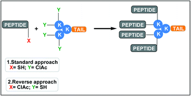 Graphical abstract: Reverse thioether ligation route to multimeric peptide antigens