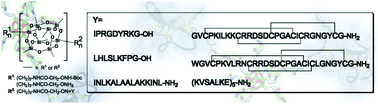 Graphical abstract: From pico to nano: biofunctionalization of cube-octameric silsesquioxanes by peptides and miniproteins