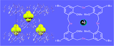 Graphical abstract: Homoselenacalix[4]arenes: synthetic exploration and metallosupramolecular chemistry