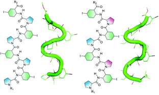 Graphical abstract: Conformational modulation of Ant–Pro oligomers using chirality alteration of proline residues