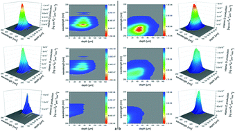 Graphical abstract: A computational model for previtamin D3 production in skin