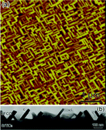 Graphical abstract: Microstructure and magnetic properties of a novel 10-H hexagonal perovskite nanosheet in a Bi–Fe–Cr–O system