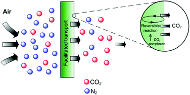 Graphical abstract: Capturing carbon dioxide from air using a fixed carrier facilitated transport membrane