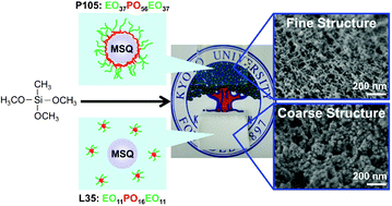 Graphical abstract: Role of block copolymer surfactant on the pore formation in methylsilsesquioxane aerogel systems