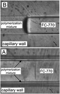 Graphical abstract: Porous layer open tubular monolith capillary column: switching-off the reaction kinetics as the governing factor in their preparation by using an immiscible liquid-controlled polymerization