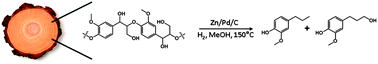 Graphical abstract: Cleavage and hydrodeoxygenation (HDO) of C–O bonds relevant to lignin conversion using Pd/Zn synergistic catalysis