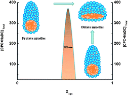 Graphical abstract: Structural evolution in catanionic mixtures of cetylpyridinium chloride and sodium deoxycholate