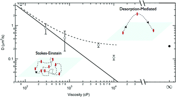 Graphical abstract: Stokes–Einstein and desorption-mediated diffusion of protein molecules at the oil–water interface