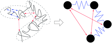 Graphical abstract: Models of flexible polymers in good solvents: relaxation and coil–stretch transition