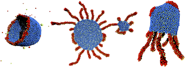 Graphical abstract: Structure formation in binary mixtures of surfactants: vesicle opening-up to bicelles and octopus-like micelles