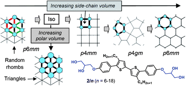 Graphical abstract: Dithiophene based X-shaped bolaamphiphiles: liquid crystals with single wall honeycombs and geometric frustration