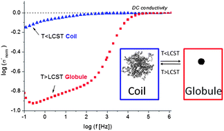 Graphical abstract: Probing the phase transition of aqueous solutions of linear low molecular weight poly(N-isopropylacrylamide) by dielectric spectroscopy