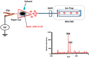 Graphical abstract: In situ analysis of corrosion inhibitors using a portable mass spectrometer with paper spray ionization