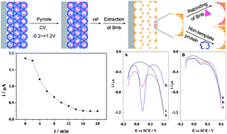 Graphical abstract: Surface molecularly imprinted polymers-based electrochemical sensor for bovine hemoglobin recognition