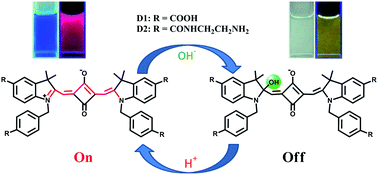 Graphical abstract: pH switchable and fluorescent ratiometric squarylium indocyanine dyes as extremely alkaline solution sensors