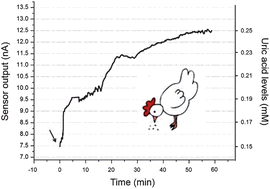 Graphical abstract: Real-time in vivo uric acid biosensor system for biophysical monitoring of birds