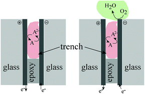 Graphical abstract: A dual-plate ITO–ITO generator–collector microtrench sensor: surface activation, spatial separation and suppression of irreversible oxygen and ascorbate interference