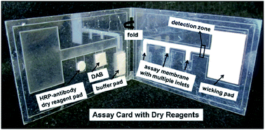 Graphical abstract: Long-term dry storage of an enzyme-based reagent system for ELISA in point-of-care devices