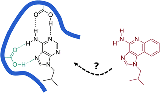 Graphical abstract: Molecularly imprinted polymers for the extraction of imiquimod from biological samples using a template analogue strategy