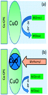 Graphical abstract: Development and validation of a new sensor for methomyl detection